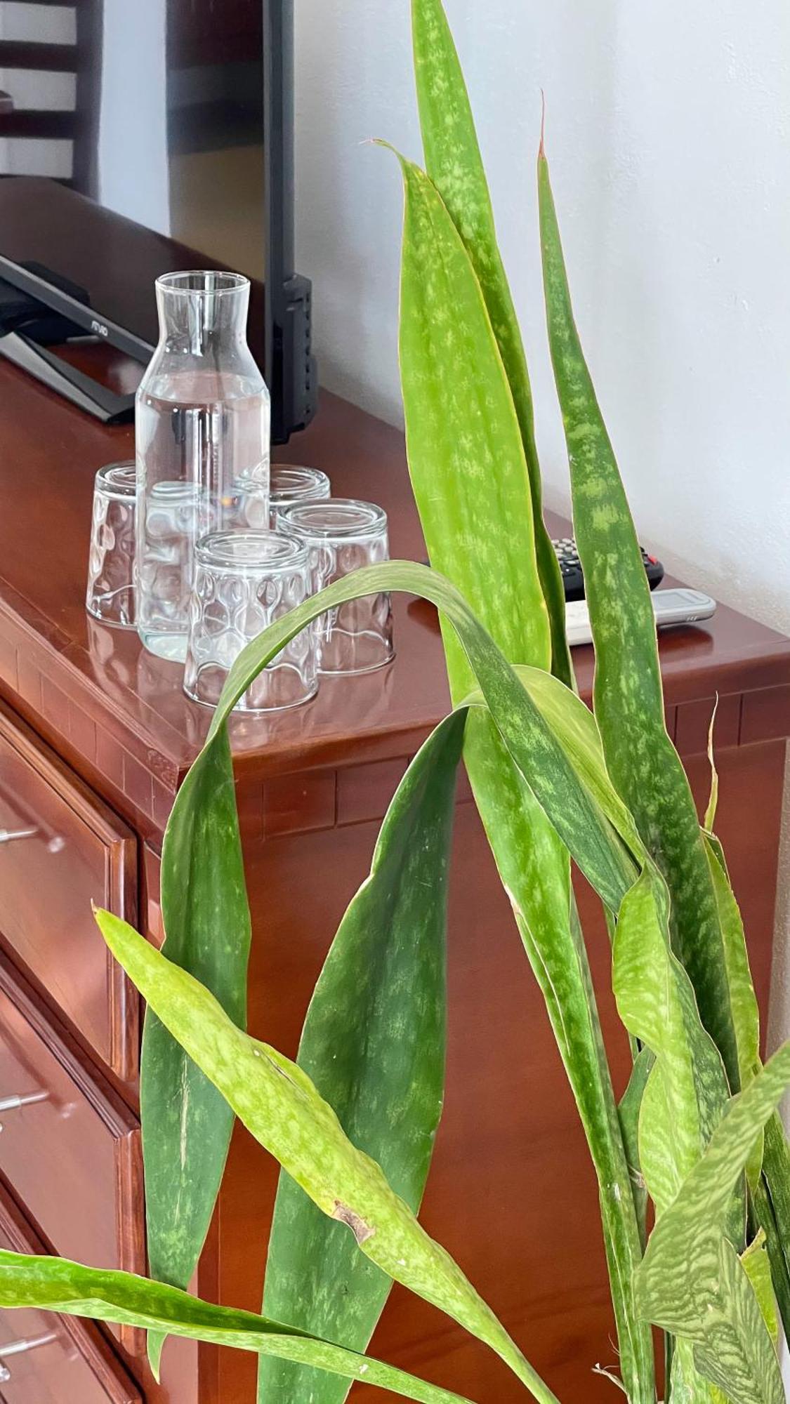 Quinta Alberto Boutique Hotel San Blas Rum bild