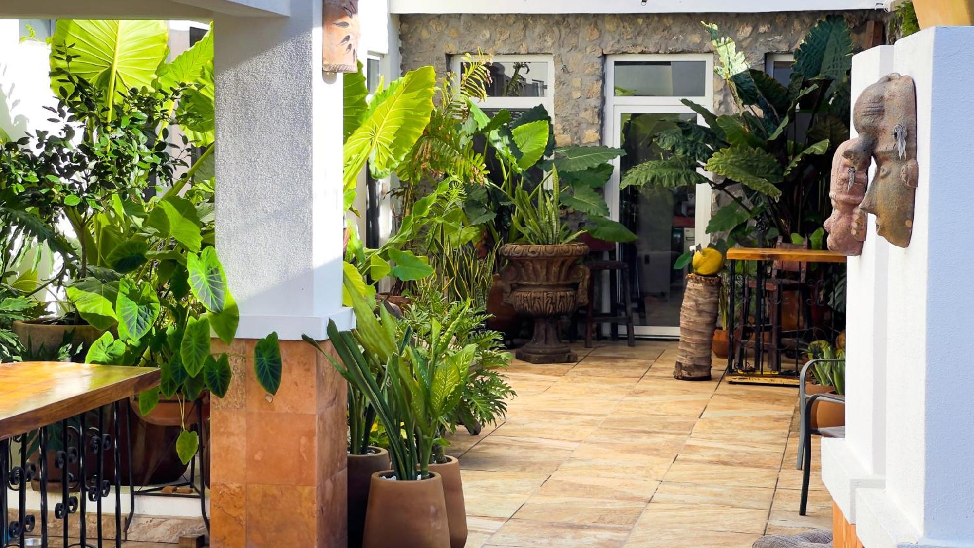 Quinta Alberto Boutique Hotel San Blas Exteriör bild